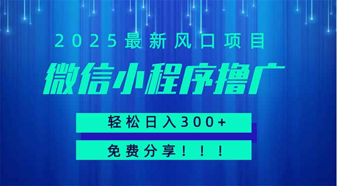 微信小程序撸广，最新风口项目，日入300+ 免费分享 可批量操作 小白可…-余宽网创