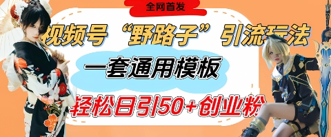 视频号“野路子”玩法，评论区疯狂截流，一套模板单日单号引流50+创业粉-余宽网创