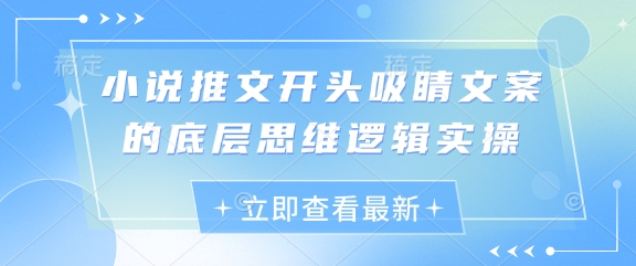小说推文开头吸睛文案的底层思维逻辑实操-余宽网创