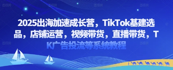 2025出海加速成长营，TikTok基建选品，店铺运营，视频带货，直播带货，TK广告投流等系统教程-余宽网创