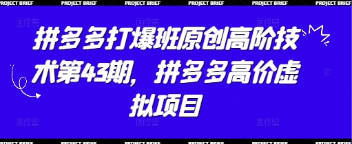 拼多多打爆班原创高阶技术第43期，拼多多高价虚拟项目-余宽网创