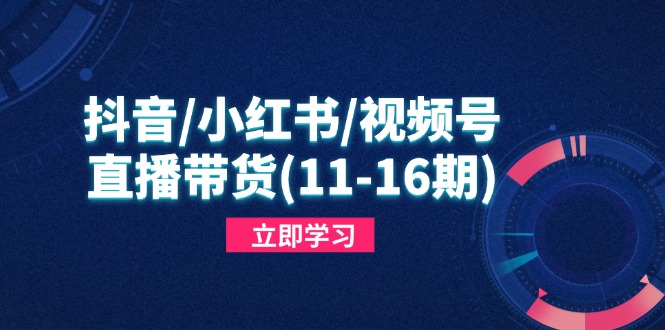 抖音/小红书/视频号/直播带货(11-16期-余宽网创