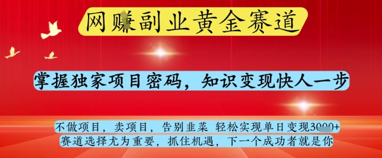 网创副业黄全赛道，掌握独家项目密码，知识变现快人一步，告别韭菜轻松实现单日变现1k+【揭秘】-余宽网创