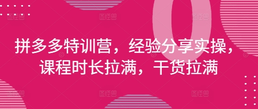 拼多多特训营，经验分享实操，课程时长拉满，干货拉满(更新25年4月)-余宽网创