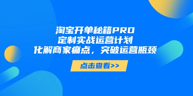 淘宝开单秘籍PRO，定制实战运营计划，化解商家痛点，突破运营瓶颈-余宽网创