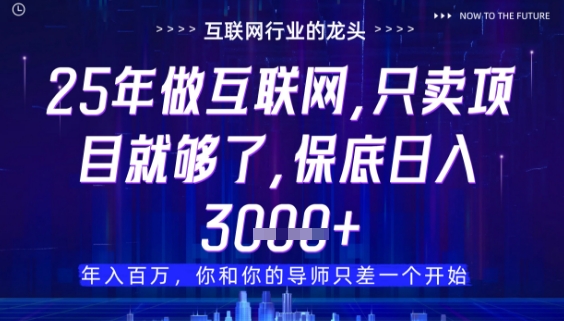 什么！25年你还在找项目做？风口早就变了，卖项目才是稳挣不赔【揭秘】-余宽网创