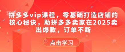 拼多多vip课程，零基础打造店铺的核心秘诀，助拼多多卖家在2025卖出爆款，订单不断-余宽网创