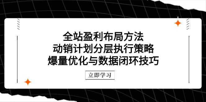 全站盈利布局方法：动销计划分层执行策略，爆量优化与数据闭环技巧-余宽网创