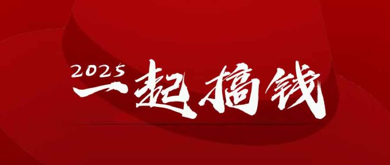 2025年，请“不择手段”去搞钱!-余宽网创