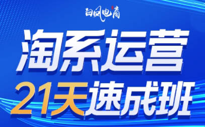 白凤电商·淘系运营21天速成班(更新5月)-站源网