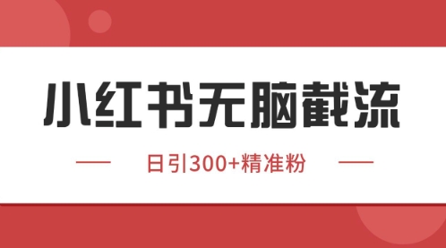 小红书只要你有同行就能获客，独家野路子获客玩法，暴力截流【揭秘】-站源网