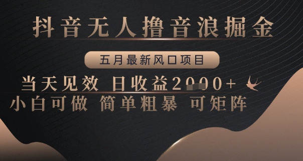 抖音无人撸音浪掘金，五月最新风口项目，当天见效，日收益多张，小白可做简单粗暴可矩阵【揭秘】-余宽网创
