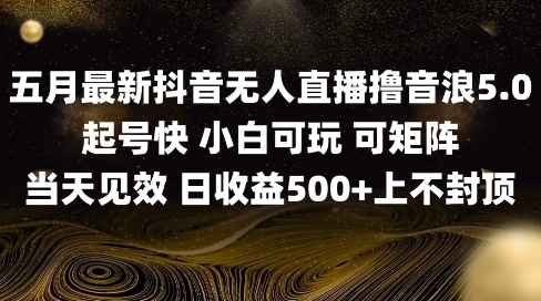 2025五月最新无人直播撸音浪单日产出5张+实操教程【揭秘】-站源网