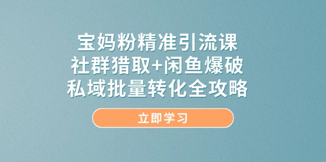宝妈粉精准引流课，社群猎取+闲鱼爆破，私域批量转化全攻略-站源网