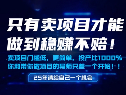 只有卖项目才能做到稳挣不赔，门槛低，更简单，你也可以年入百个W【揭秘】-站源网