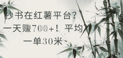 抄书在小红薯平台？平均一单30米，一天收益几张！-站源网