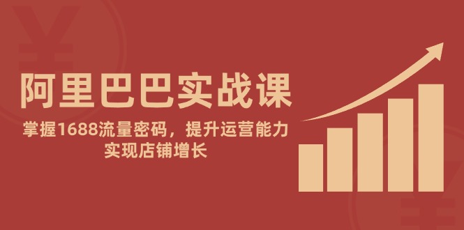 阿里巴巴实战课：掌握1688流量密码，提升运营能力，实现店铺增长-站源网