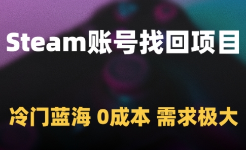 Steam账号找回项目，冷门蓝海，0成本，需求极大-站源网