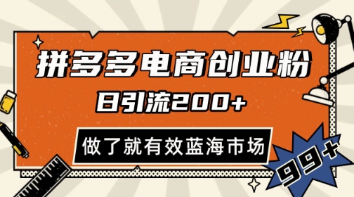 拼多多引流电商创业粉，日引200+，可矩阵放大，做了就有效【揭秘】-站源网