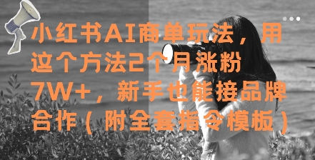 小红书AI商单玩法，用这个方法2个月涨粉7W+，新手也能接品牌合作(附全套指令模板)-站源网