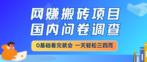 网创搬砖项目，国内问卷调查，小白轻松上手，一天三四张的也不难，干就完了【揭秘】-站源网