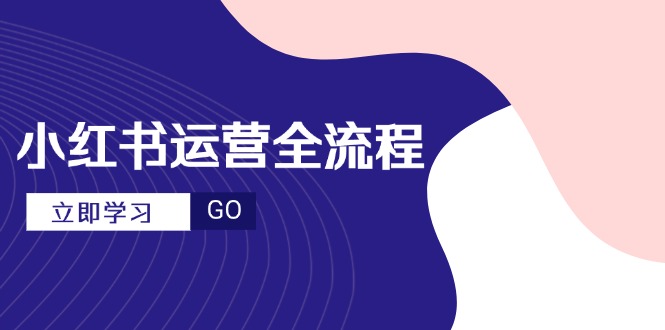 小红书运营全流程，爆款选题文案，视频制作技巧，进阶达人宝典-站源网