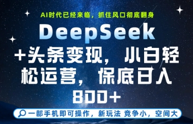 DeepSeek+头条变现，保姆级教学，小白轻松上手，日入8张+【揭秘】-站源网