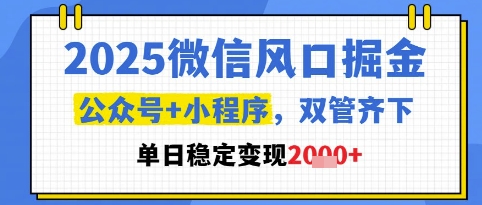 2025微信风口掘金，公众号+小程序双管齐下，单日稳定变现1k+【揭秘】-站源网