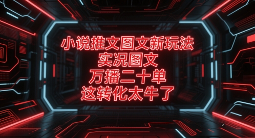小说推文图文新玩法，实况图文，万播二十单，这转化太牛了！-站源网