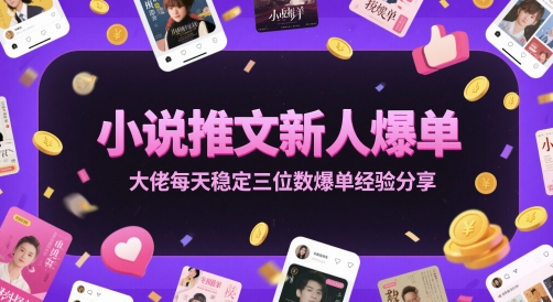 小说推文新人爆单大佬每天稳定三位数爆单经验分享-站源网