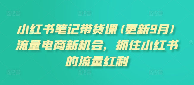 小红书笔记带货课(更新25年5月)流量电商新机会，抓住小红书的流量红利-站源网