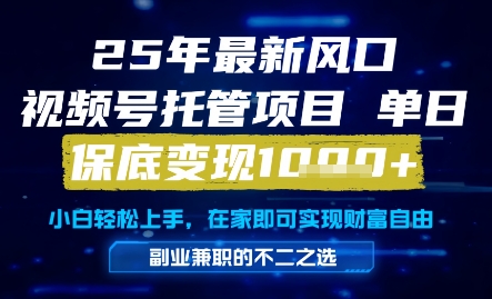 25年最新风口，视频号托管项目，单日保底变现1k+，手把手教学【揭秘】-站源网