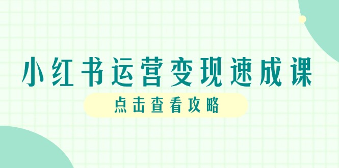 小红书运营变现速成课，账号搭建到暴力起号，个人IP全流程指南-站源网