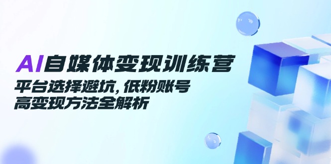 AI自媒体变现训练营，平台选择避坑，低粉账号高变现方法全解析-站源网