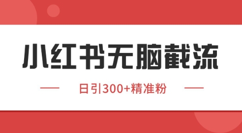 小红书截流同行客源，独家野路子获客玩法 日引200+暴力获客【揭秘】-站源网
