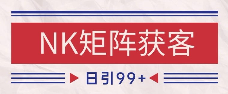 小红书某音NK赛道引流获客 自热矩阵日引200+【揭秘】-站源网