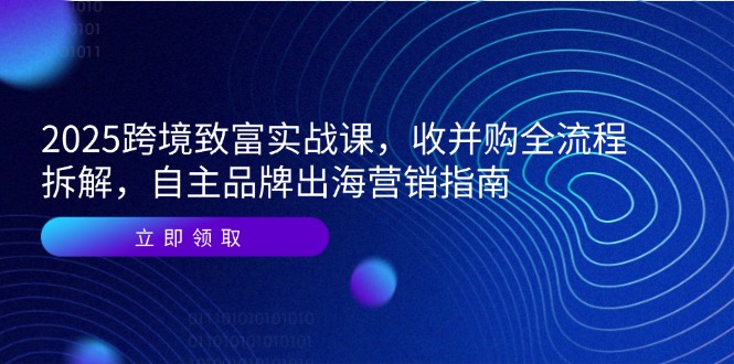 2025跨境致富实战课，收并购全流程拆解，自主品牌出海营销指南-站源网