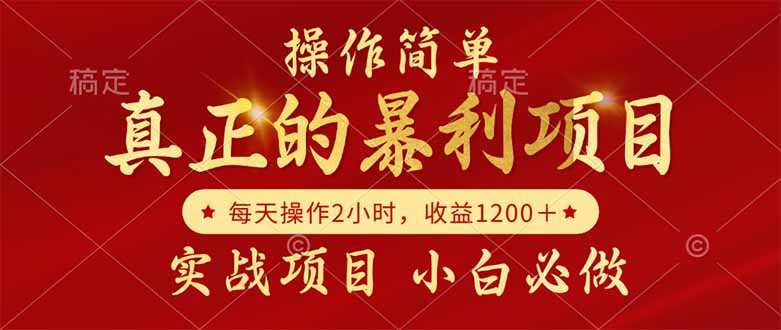 真正的暴利项目，操作简单，每天收益1200＋，自己做老板-站源网
