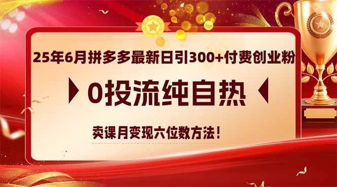 25年6月拼多多最新日引300+付费创业粉，0投流纯自热 卖课月变现六位数方法-站源网