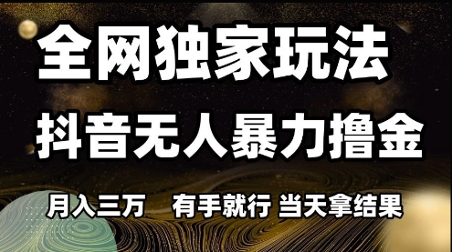 全网独家玩法抖音无人暴力撸金，月入3W，有手就行，当天拿结果【揭秘】-站源网