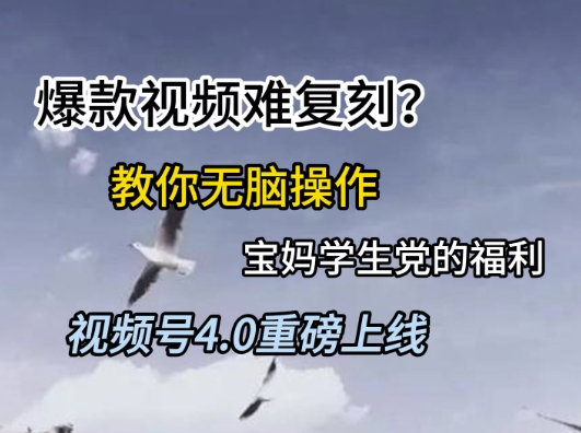 视频号4.0重磅上线，爆款视频难复刻？教你无脑操作宝妈学生党的福利【揭秘】-站源网