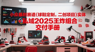 小众暴利赛道(球鞋定制，二创项目)实体+私域2025王炸组合  交付手册-站源网
