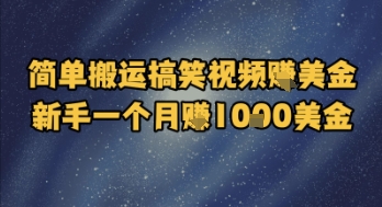 简单搬运搞笑视频挣美金，新手一个月入1k美金-梵摄网创