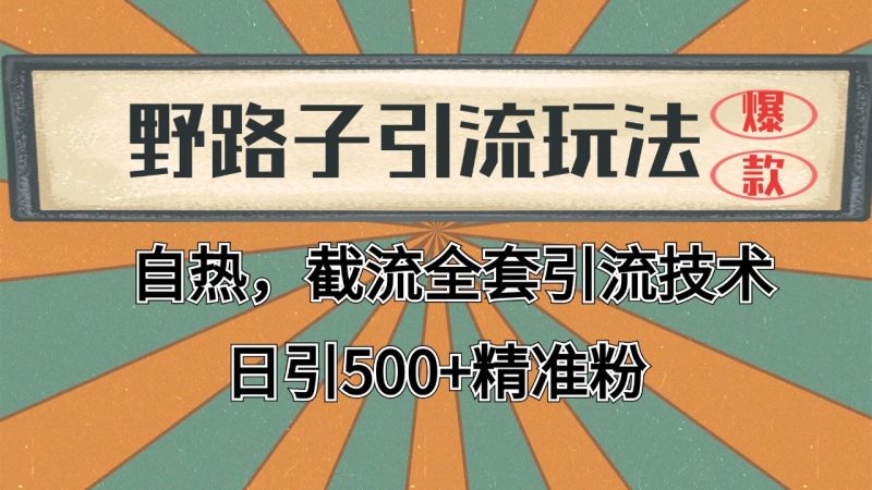 2024首发野路子引流玩法截流自热全平台打法,全自动引流【日引2000+精准客户】-余宽网创
