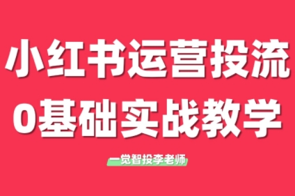 李老师·小红书运营投流，0基础实战教学(更新)-站源网