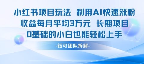 适合小白操作的小红书新项目，利用AI快速涨粉，收益每月平均1W+-站源网