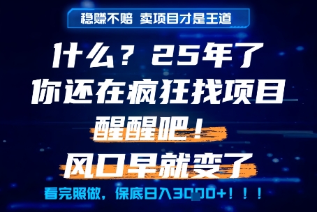 什么？25年你还在疯狂找项目做，醒醒吧，看完这些你全都懂了！【揭秘】-余宽网创