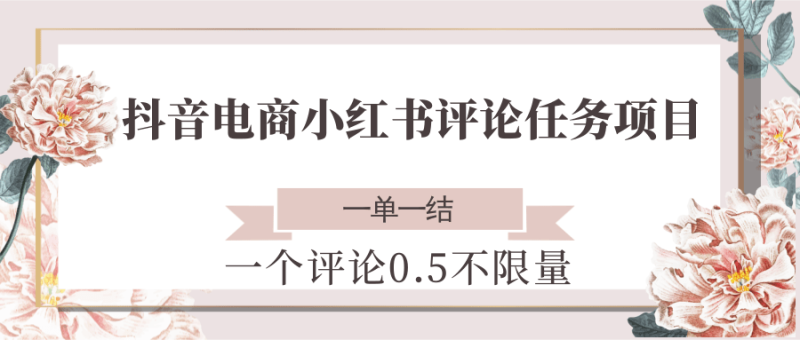 抖音电商小红书评论任务项目，一个评论0.5，一单一结 不限量-余宽网创