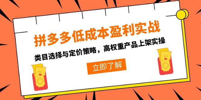 拼多多低成本盈利实战，类目选择与定价策略，高权重产品上架实操-梵摄网创