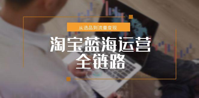 淘宝蓝海运营全链路，从选品到流量变现，小类目突围完整方案引流获客-私域-网赚项目-副业赚钱-互联网创业-资源整合星途社